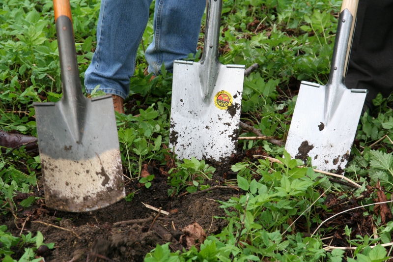 pepiniere-BELVEDERE-min_work-lawn-flower-tool-green-backyard-1103633-pxhere.com